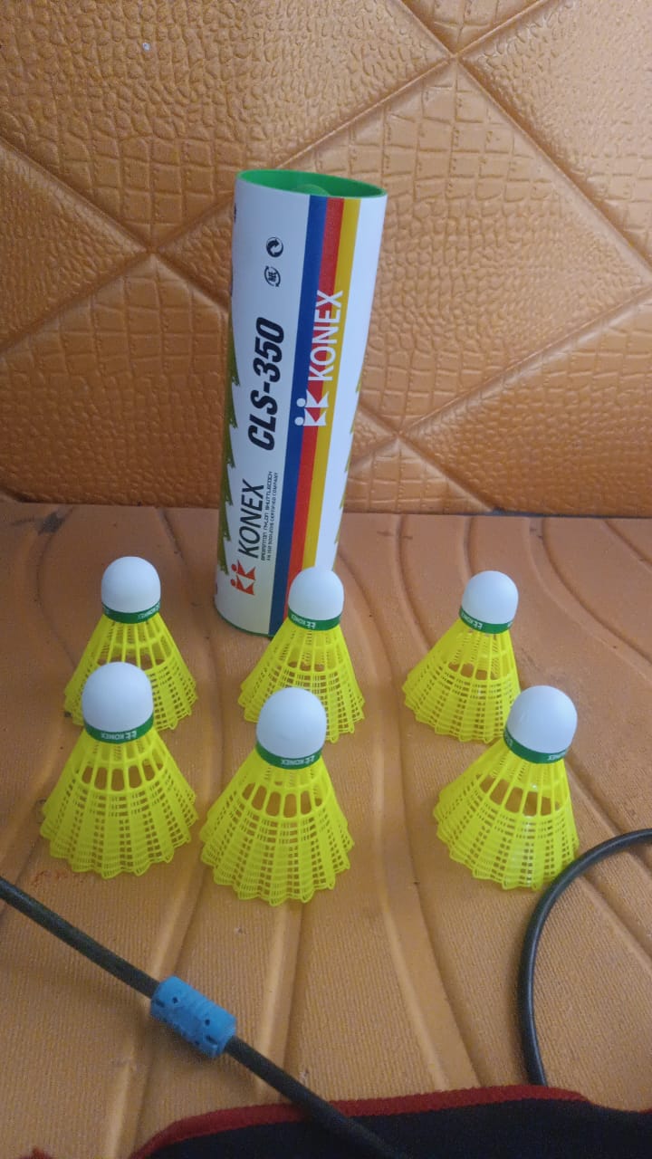 Durable Plastic Shuttlecock (6 Pcs Set)